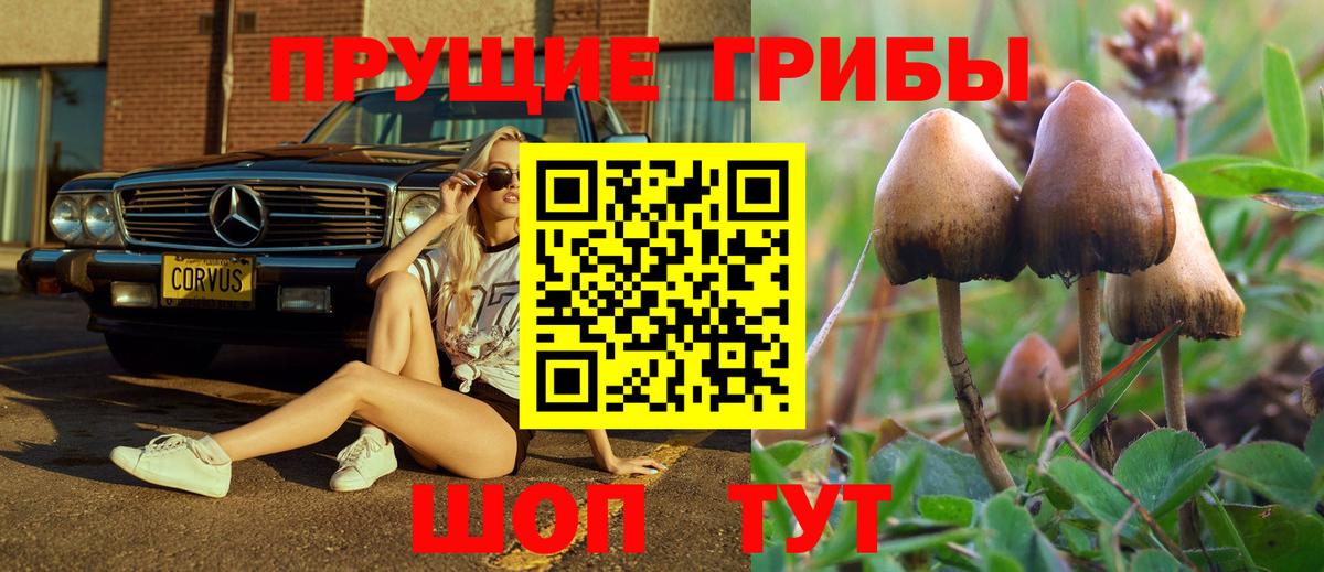 Галлюциногенные грибы Magic Shrooms  Вход с VPN  Назарово  Галлюциногенные грибы Magic Shrooms 